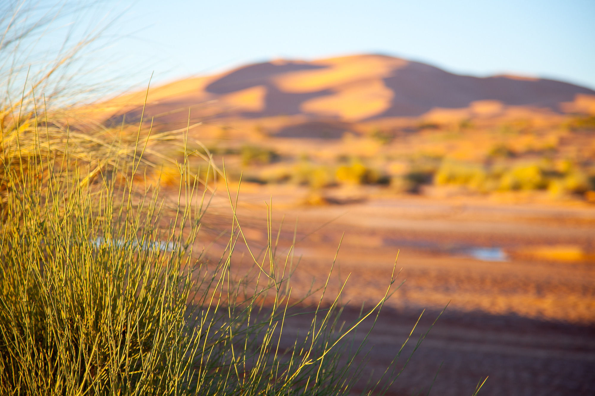 Kam Kam Dunes Merzouga Esterno foto