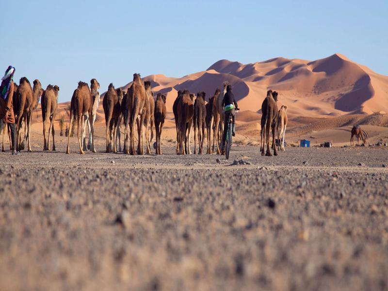 Kam Kam Dunes Merzouga Esterno foto